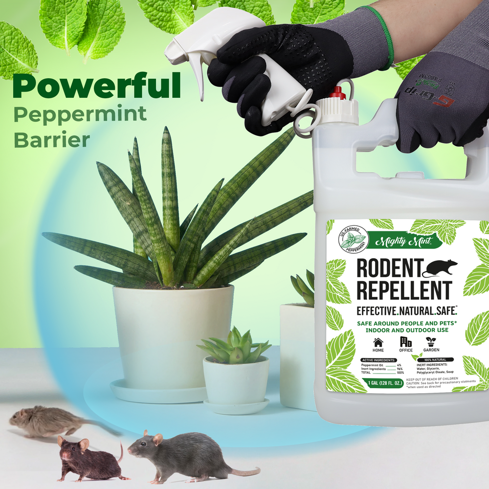 Rodent repellent deals