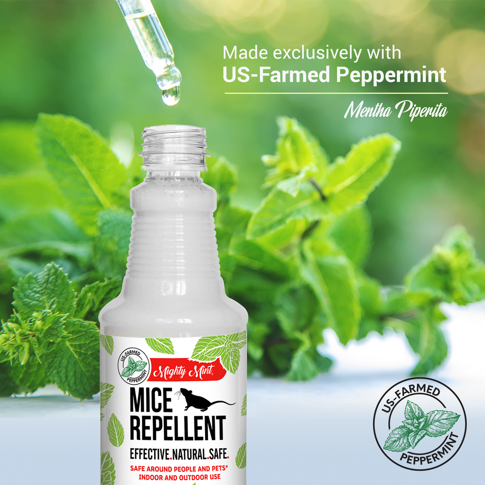 Mighty Mint Mice Repellent - Peppermint Spray - 16 oz – Pure